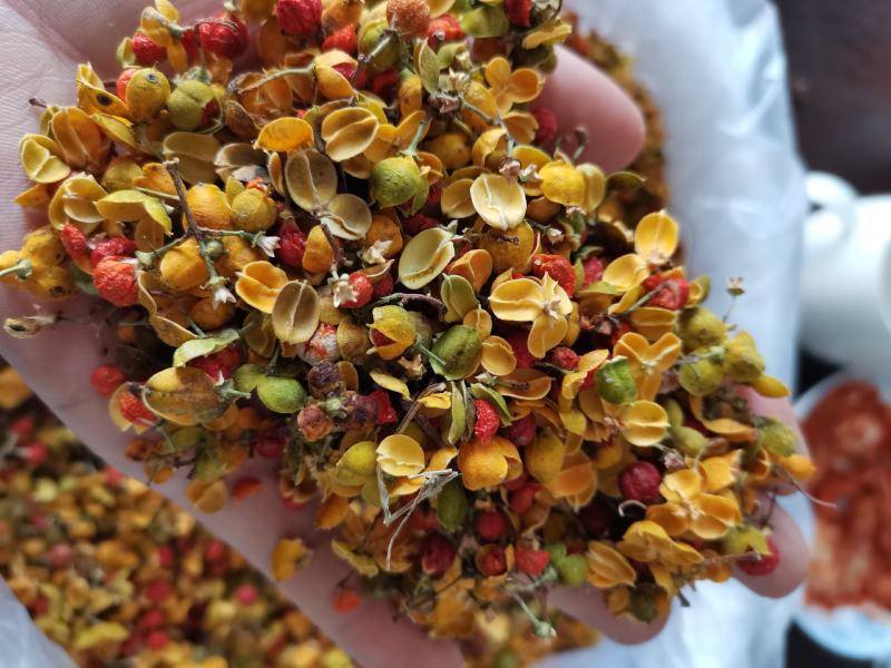 合欢花东北泡茶药用新鲜干货实拍图一公斤起发货