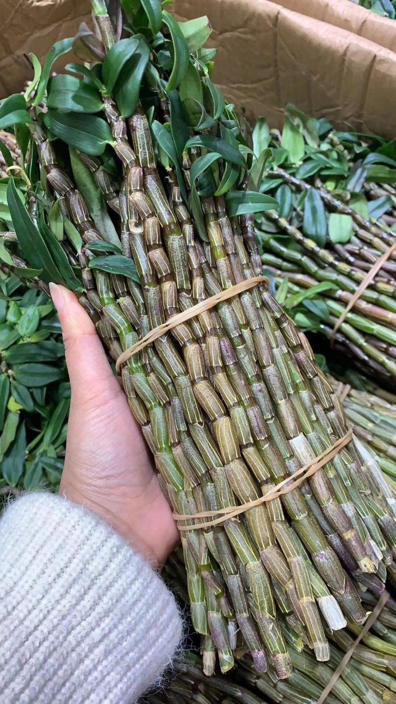 铁皮石斛鲜条新货，现减现发，特别新鲜，好品质值得信赖