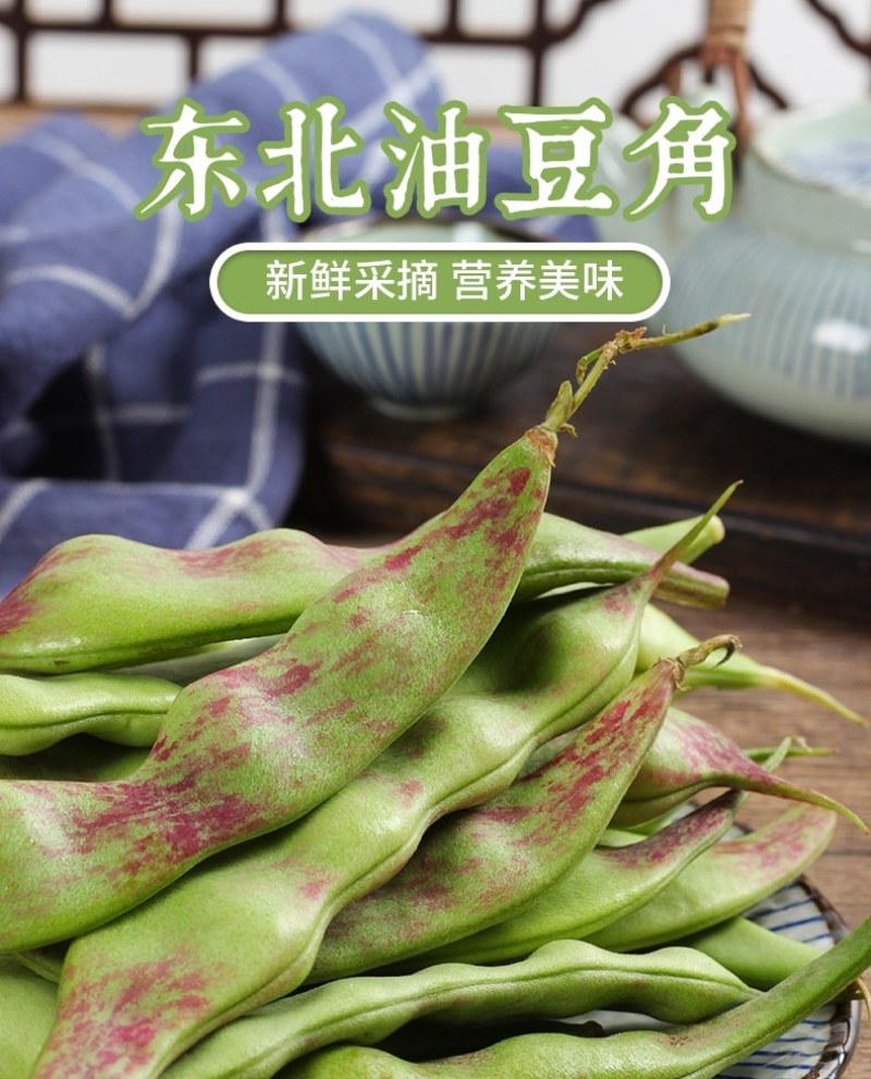 东北将军一点红油豆！油豆角大量现货欢迎骚扰！支持全国一件