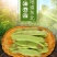 东北将军一点红油豆！油豆角大量现货欢迎骚扰！支持全国一件