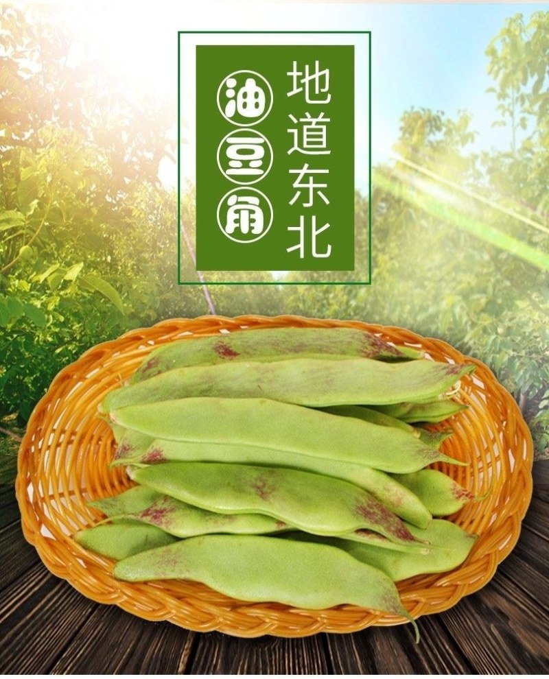 东北将军一点红油豆！油豆角大量现货欢迎骚扰！支持全国一件