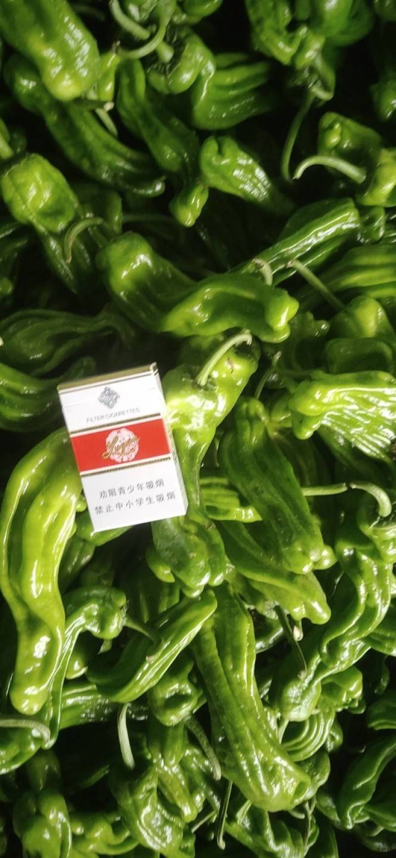 301辣椒薄皮货源充足货源新鲜产地直发一手货源