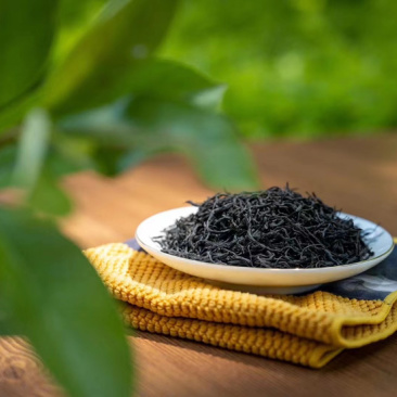 正山小种500g