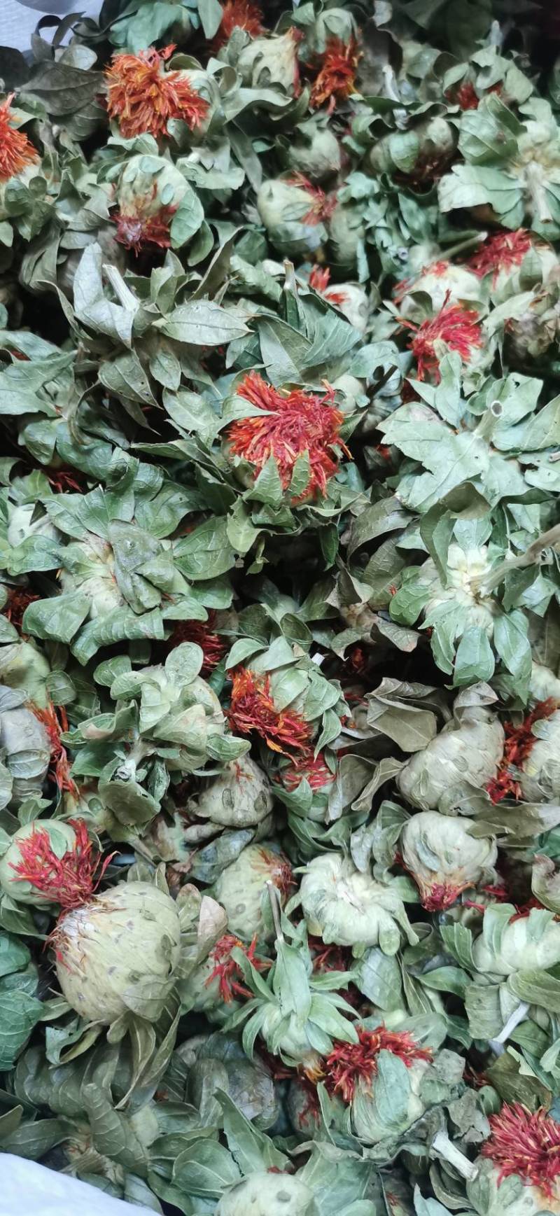 红花红花球今年新货红花头干货橙菠萝一手货源产地直发