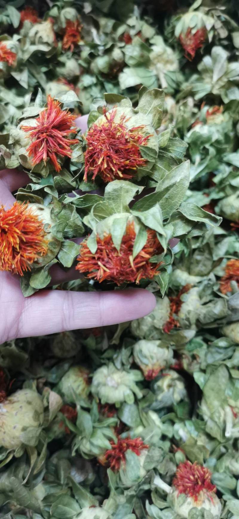 红花红花球今年新货红花头干货橙菠萝一手货源产地直发