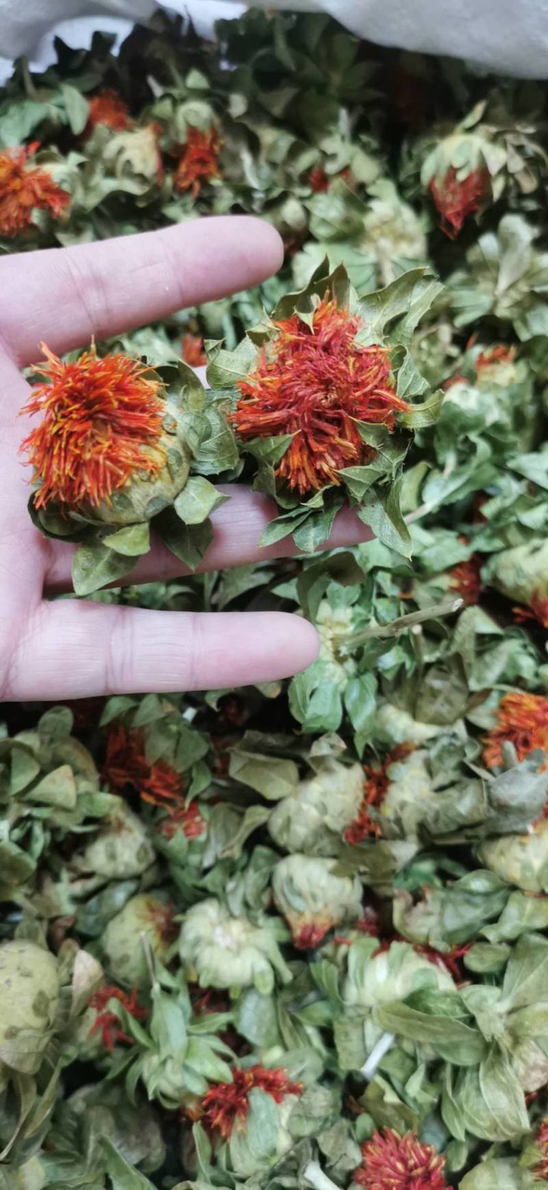 红花红花球今年新货红花头干货橙菠萝一手货源产地直发