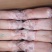 新货精品一级1800/1900克白条鸭，价格8600/吨