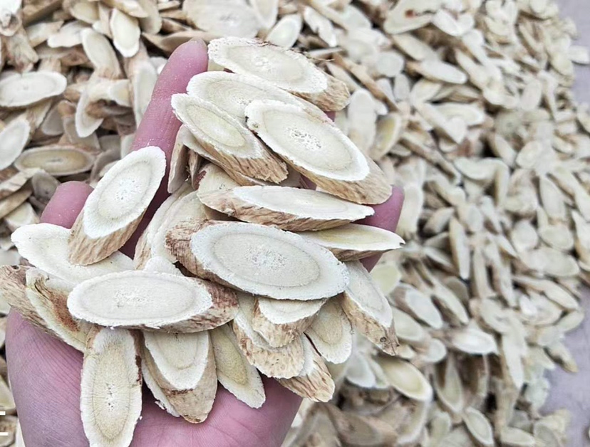 图片说明:一位中医师正在为患者把脉并开具包含黄芪与黄芩的中药方剂 中医师正在为患者开方