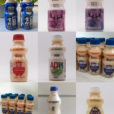 山东太子奶乳业，乳酸菌厂家直发，春节盒火爆预定中，