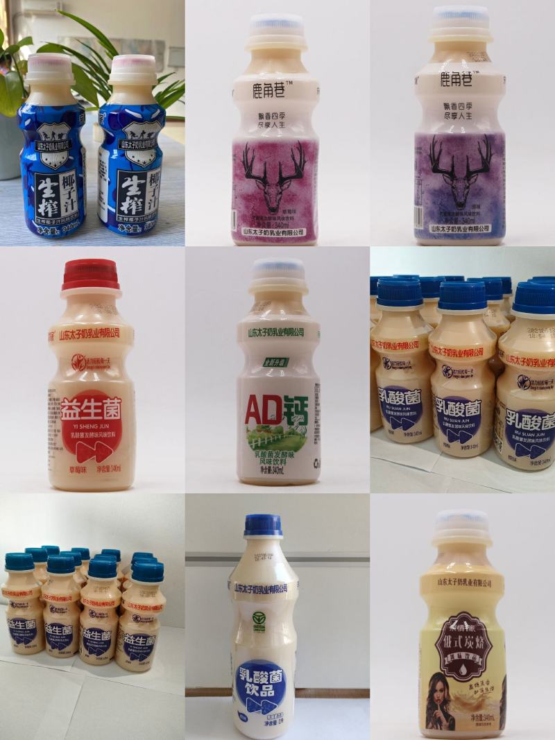 山东太子奶乳业，乳酸菌厂家直发，春节盒火爆预定中，