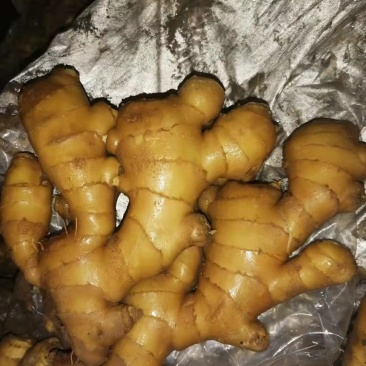 山东小黄姜，大黄姜，姜把，电商货，产地充足全国发货