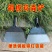 加厚铲子水泥铲冰铲墙面铲清理铲鸡粪畜牧垃圾清洁铲农用锰钢