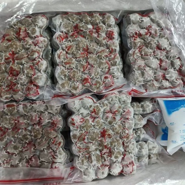 牛肉丸潮汕特级牛肉丸口感好，生鲜店社区卖回头率好