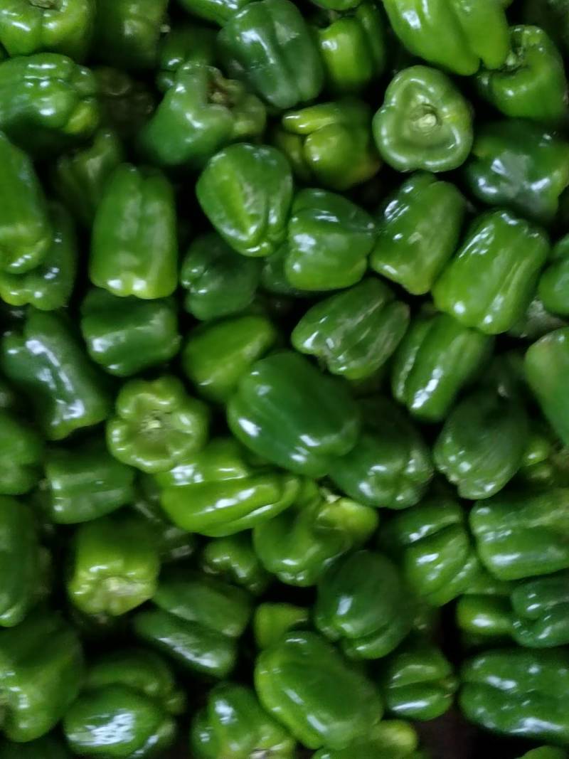 二荆条