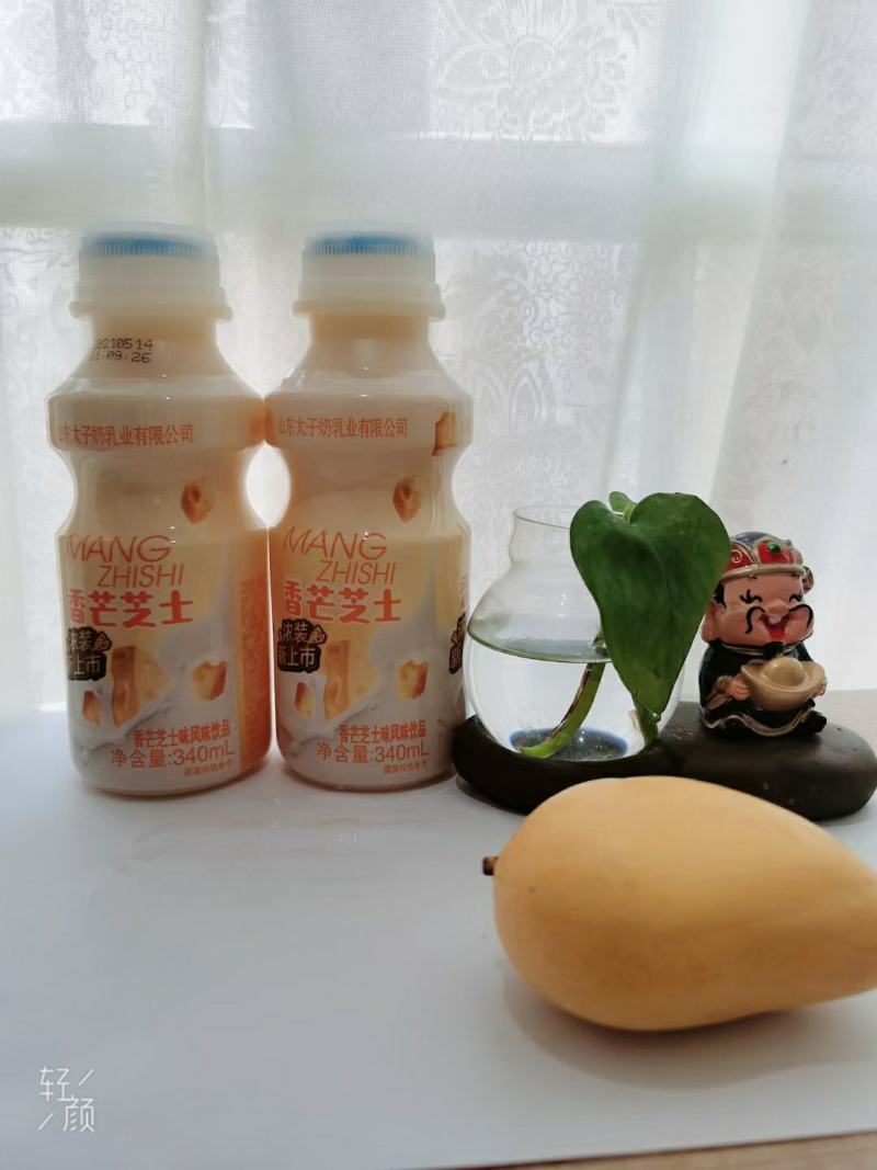 太子奶香芒芝士风味饮料，新品上市，可上平台，全国代理招商