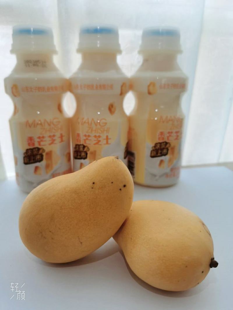 太子奶香芒芝士风味饮料，新品上市，可上平台，全国代理招商