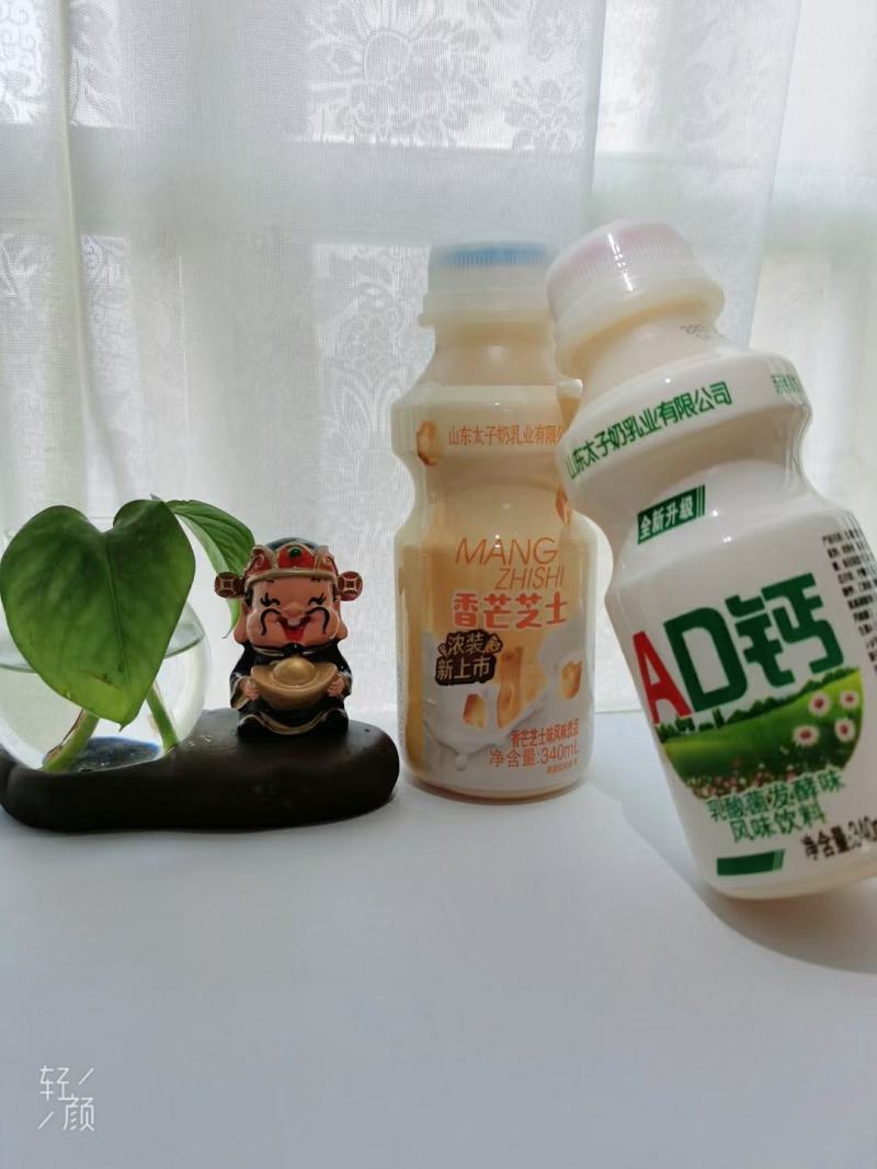 太子奶香芒芝士风味饮料，新品上市，可上平台，全国代理招商