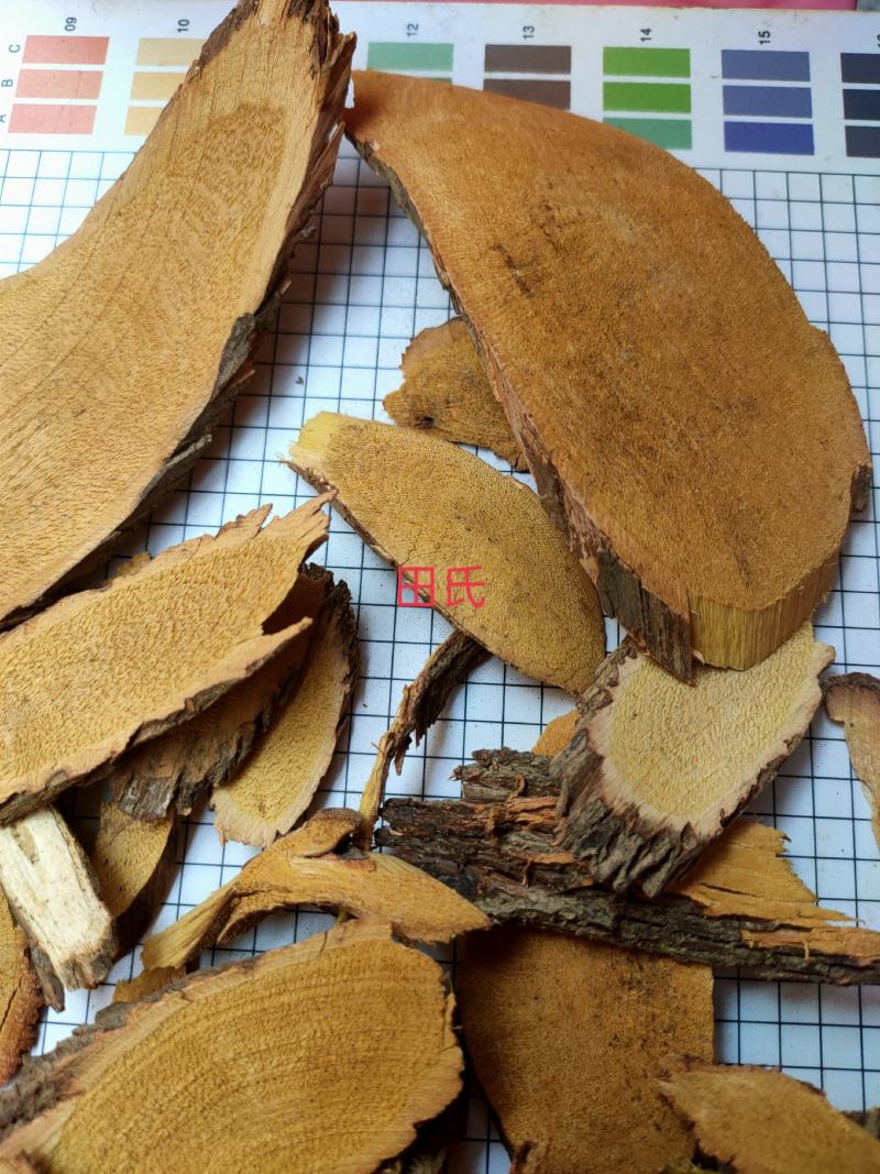 野生中药材铁包金根/乌金藤/老鼠耳无硫狗脚利勾儿茶乌龙根