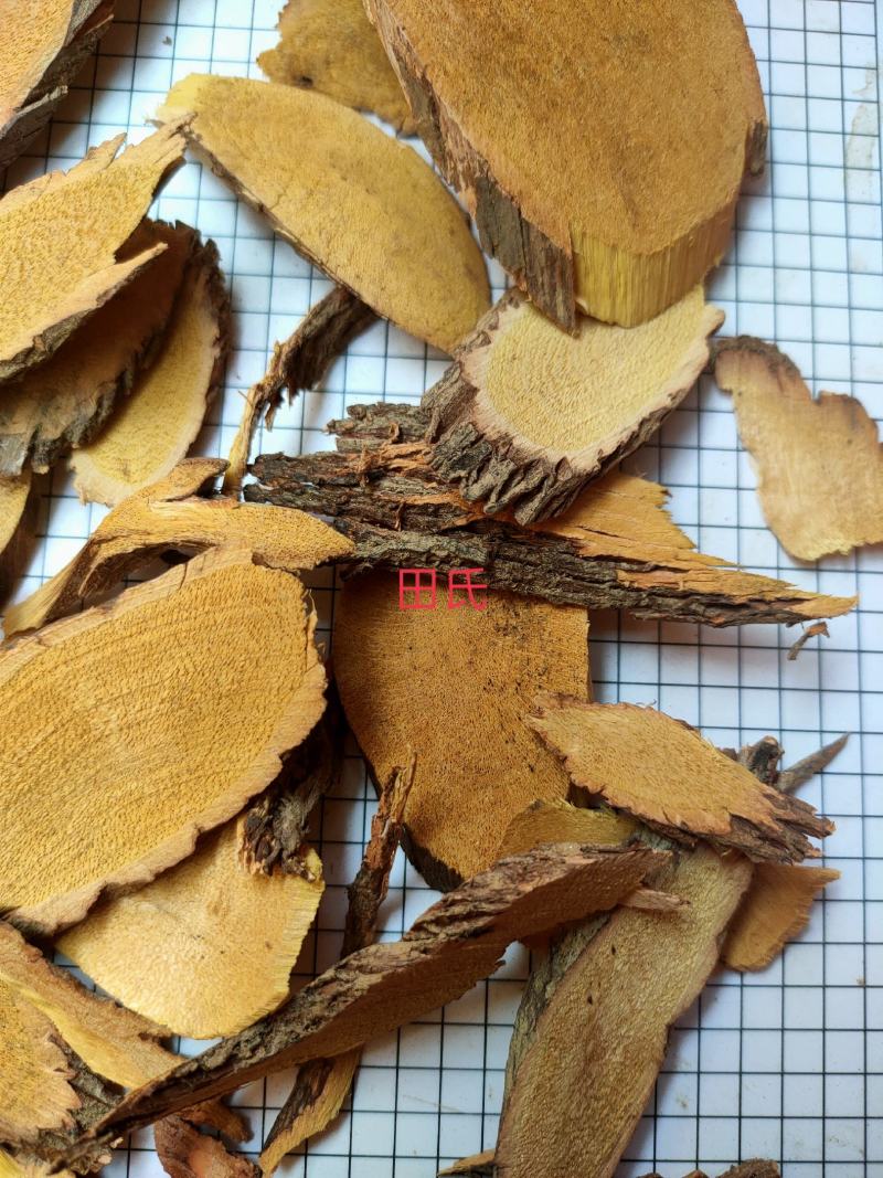 野生中药材铁包金根/乌金藤/老鼠耳无硫狗脚利勾儿茶乌龙根