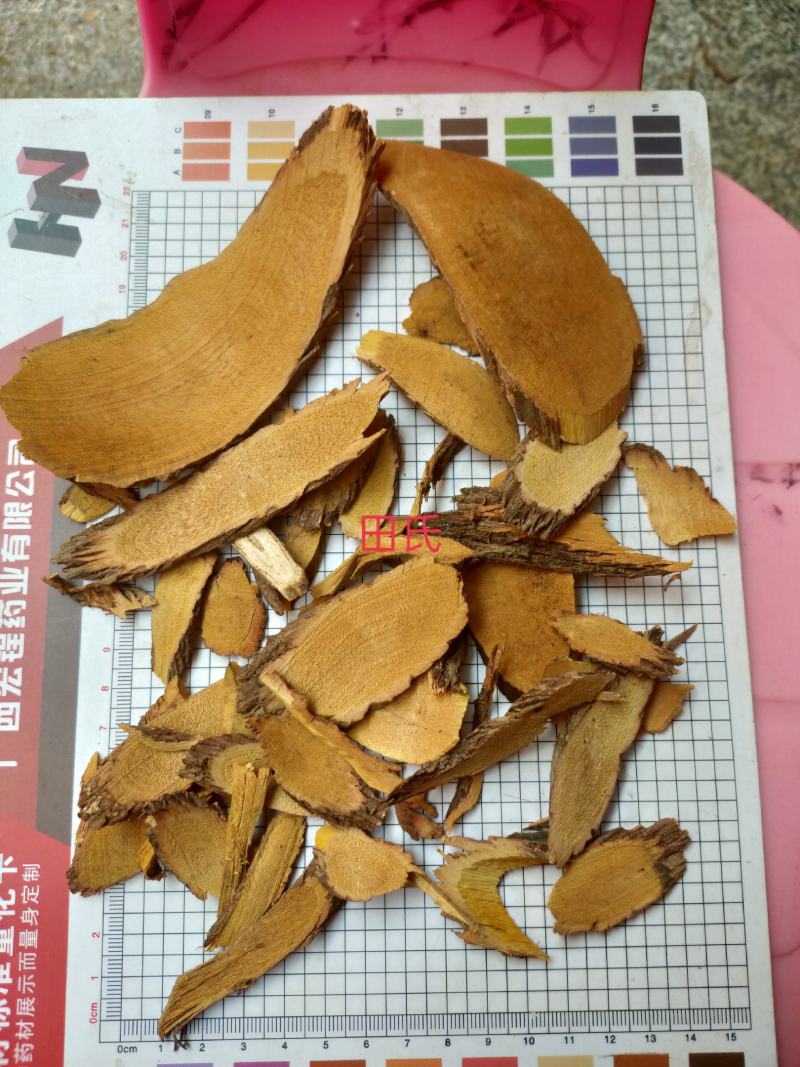野生中药材铁包金根/乌金藤/老鼠耳无硫狗脚利勾儿茶乌龙根