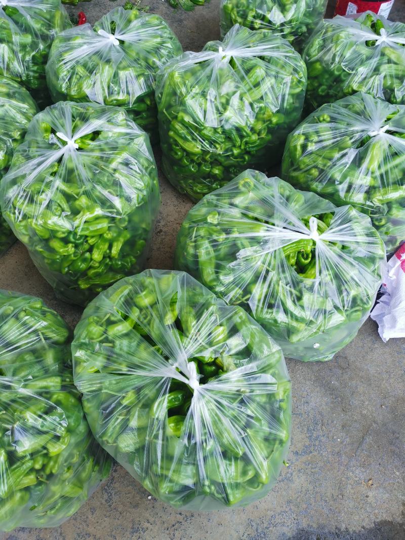 力荐】湖北产地直供精品芜湖椒货源充足专业代办服务