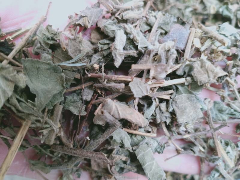 韩信草，正品韩信草质量保证，经营各种中药材欢迎咨询购买！