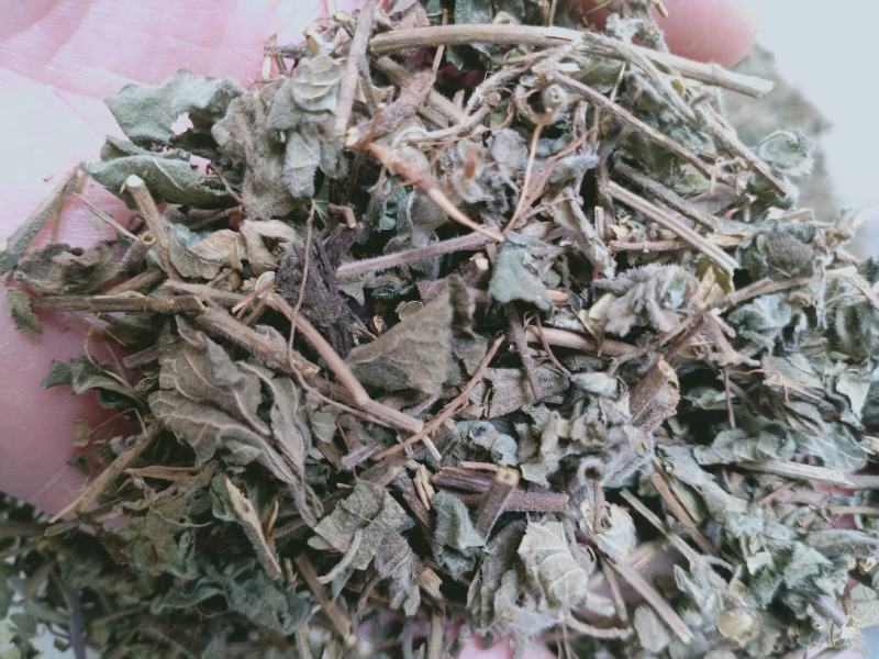 韩信草，正品韩信草质量保证，经营各种中药材欢迎咨询购买！
