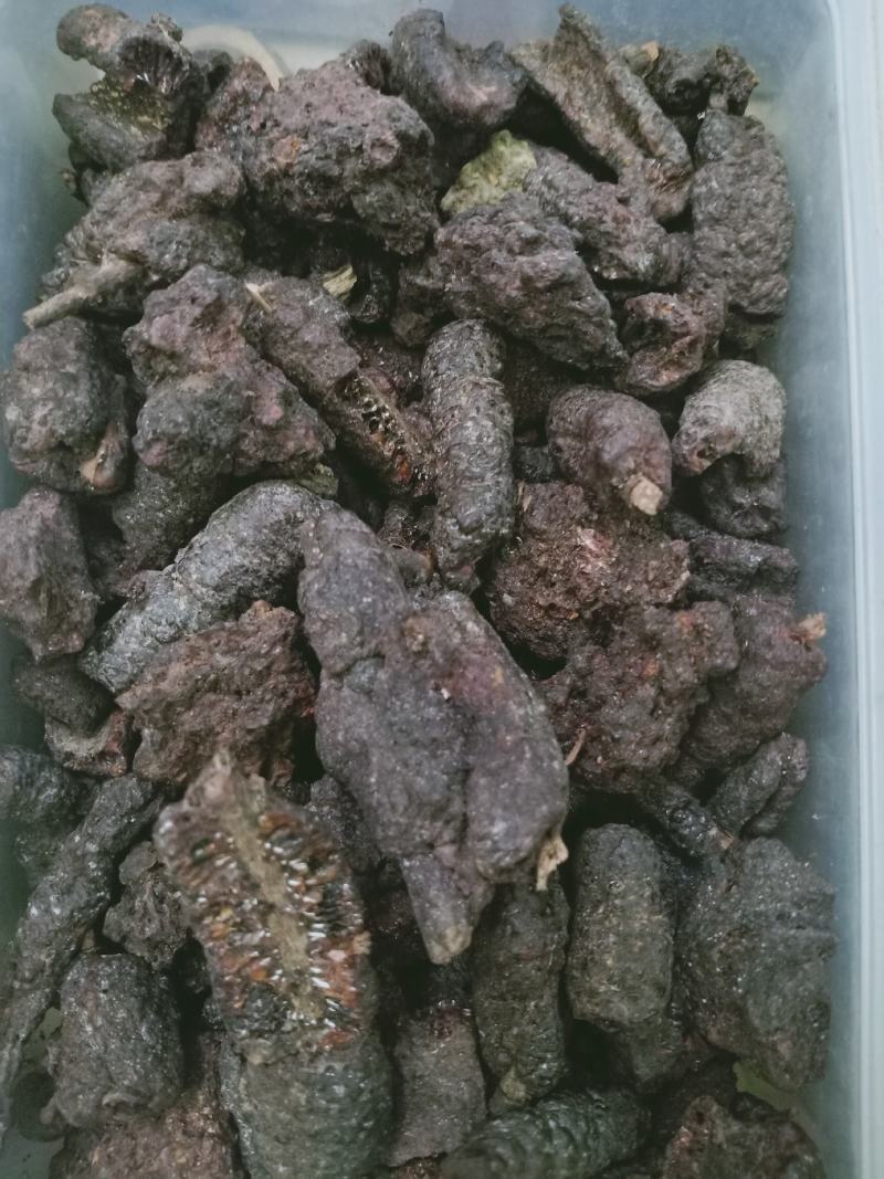 紫草茸，正品紫胶质量保证，经营各种中药材欢迎咨询合作！
