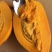 耀堂仙桃树苗蛋黄果的升级版大果湿包口感