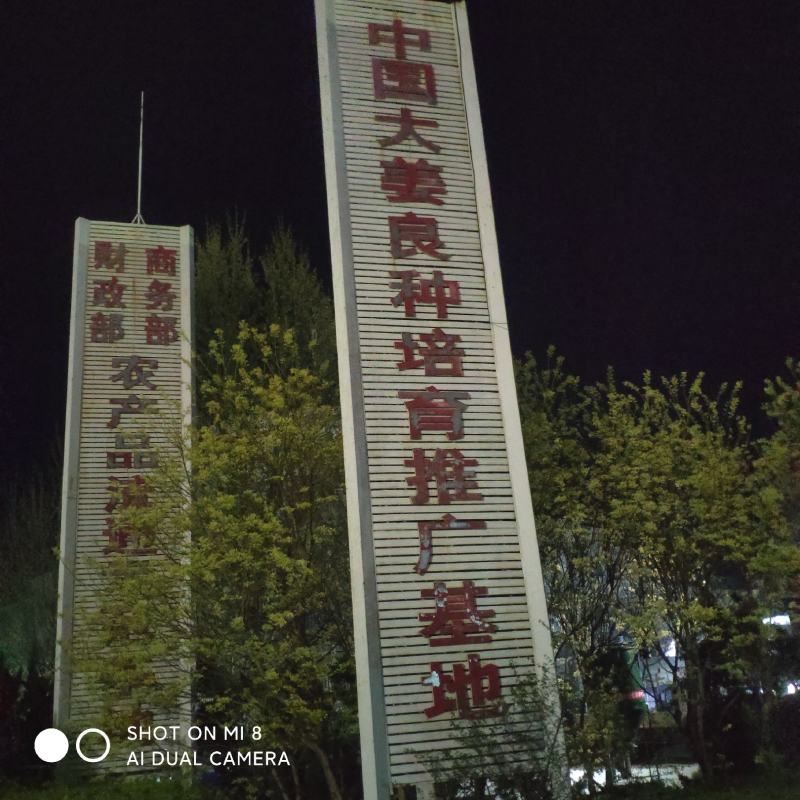 生姜，产地直发，电商，市场，超市，代存，代收，一手货源