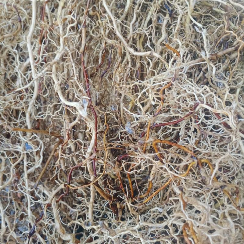 牛尾菜，牛尾参，贵州本地水洗无泥干货一手货源，欢迎订购