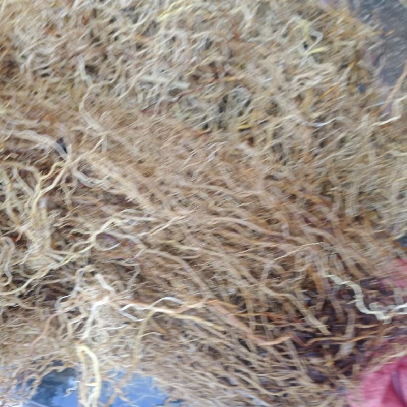 牛尾菜，牛尾参，贵州本地水洗无泥干货一手货源，欢迎订购