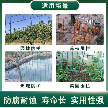 硬塑荷兰网铁丝网围栏护栏隔离圈地果园养殖网户外网格防护钢