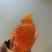 绵阳红薯