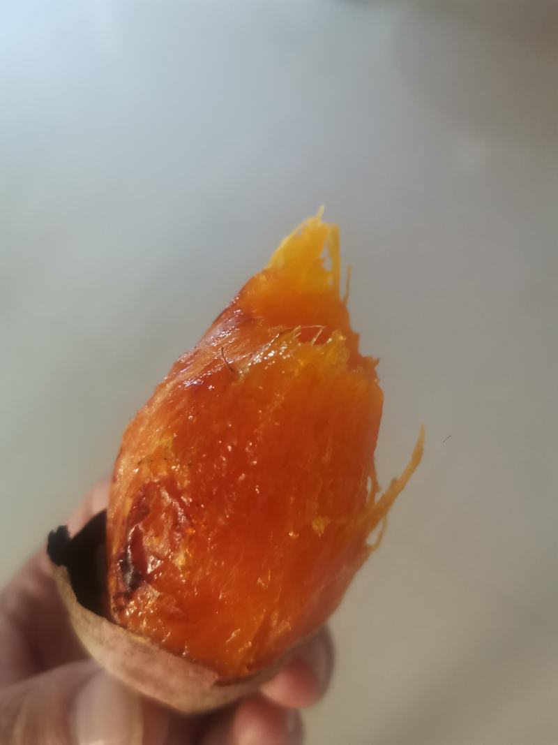 绵阳红薯