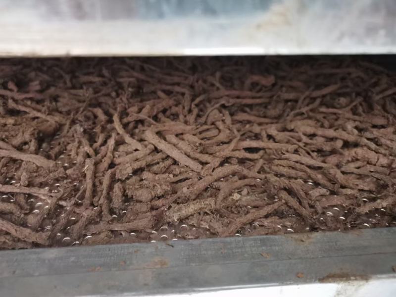 仙茅，仙茅根质量保证现货供应欢迎咨询合作！
