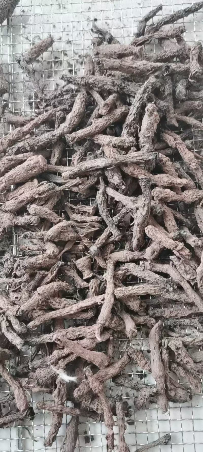 仙茅，仙茅根质量保证现货供应欢迎咨询合作！