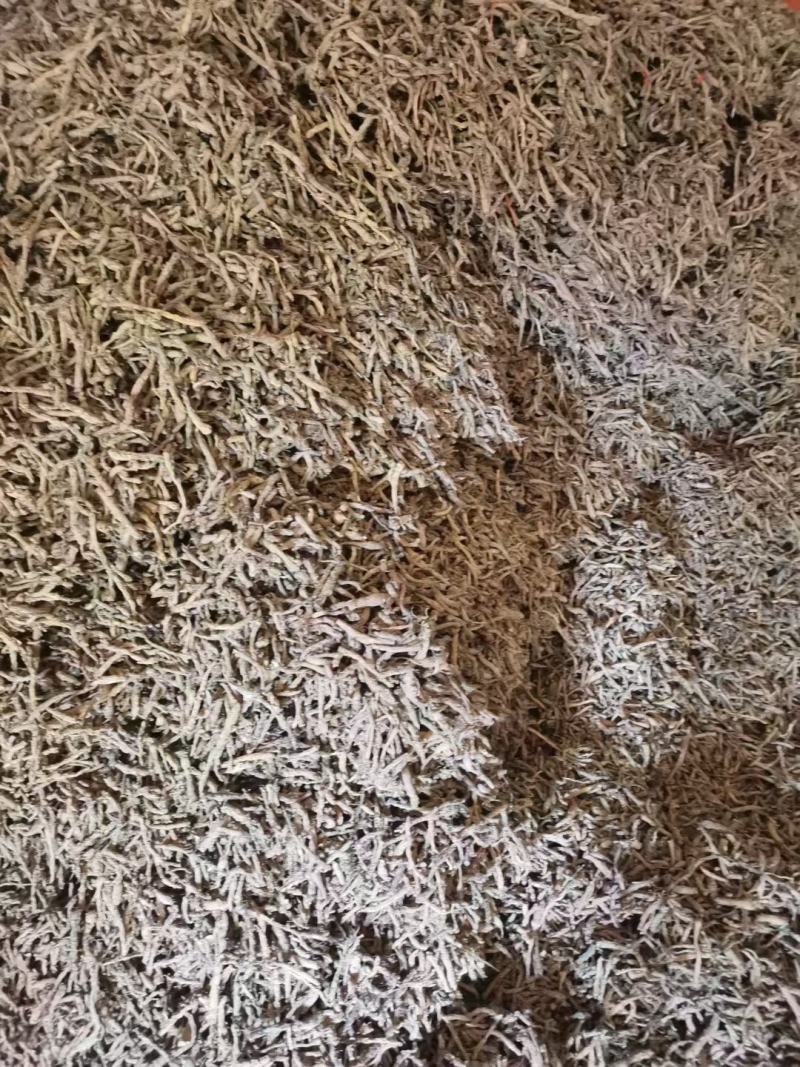 仙茅，仙茅根质量保证现货供应欢迎咨询合作！