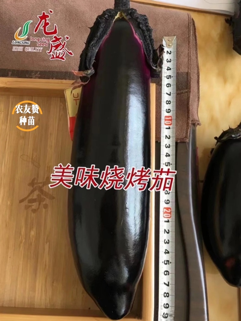 美味烧烤茄茄子种子四川龙盛茄子油黑亮丽卖相好高产