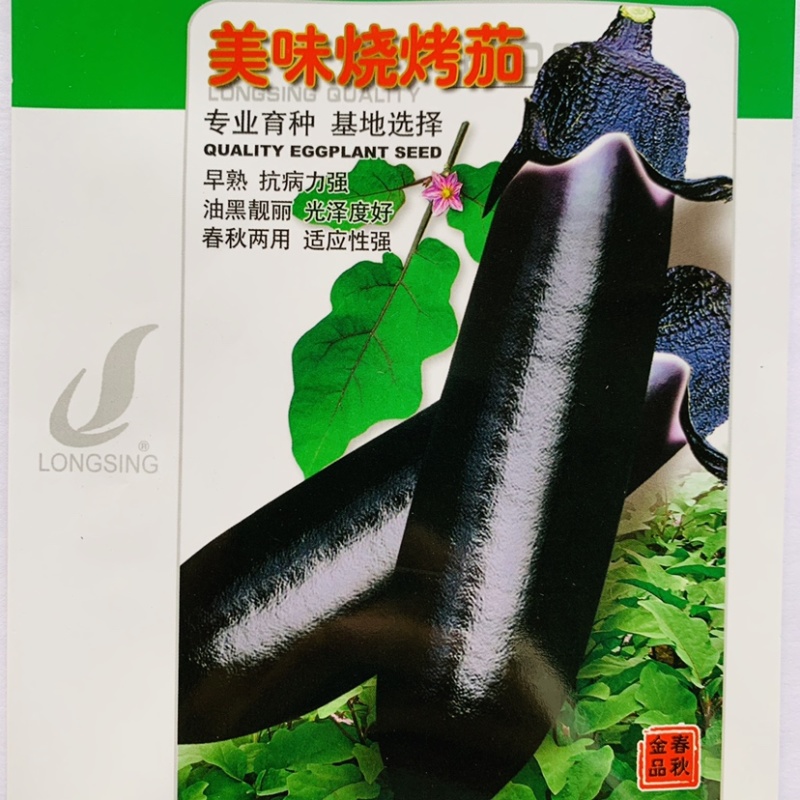 美味烧烤茄茄子种子四川龙盛茄子油黑亮丽卖相好高产