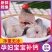 无头鱼深海鳕鱼去头去内脏鳕鱼明太鱼宝宝辅食海鱼宝宝辅食