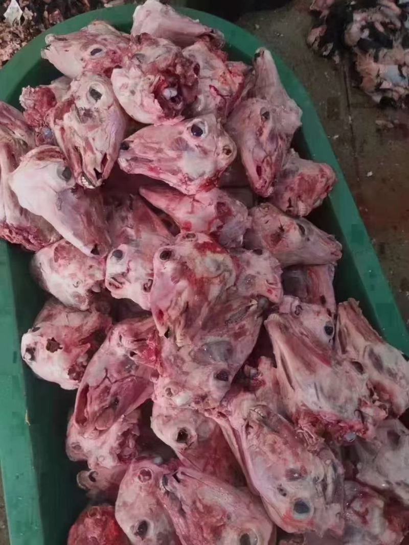 （扒皮羊头）（价格便宜）做工精细二斤多一个自己加工