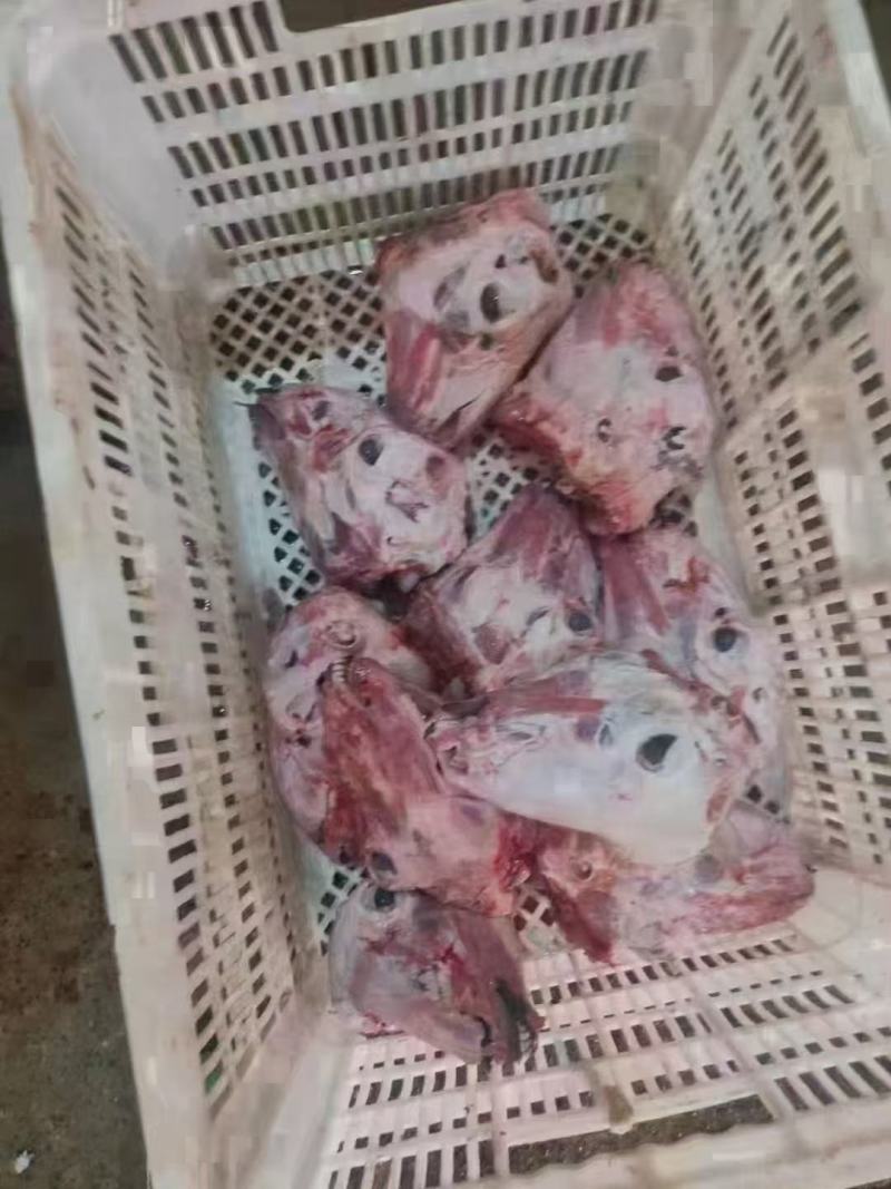 （扒皮羊头）（价格便宜）做工精细二斤多一个自己加工