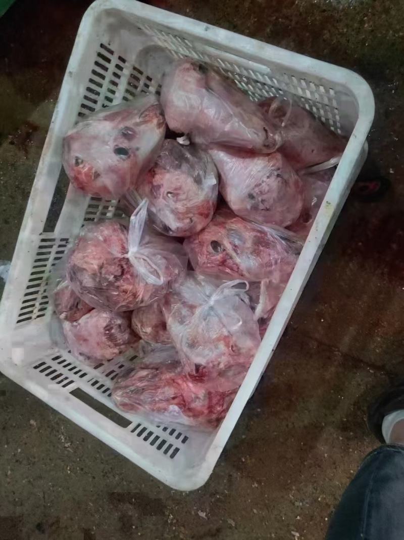 （扒皮羊头）（价格便宜）做工精细二斤多一个自己加工