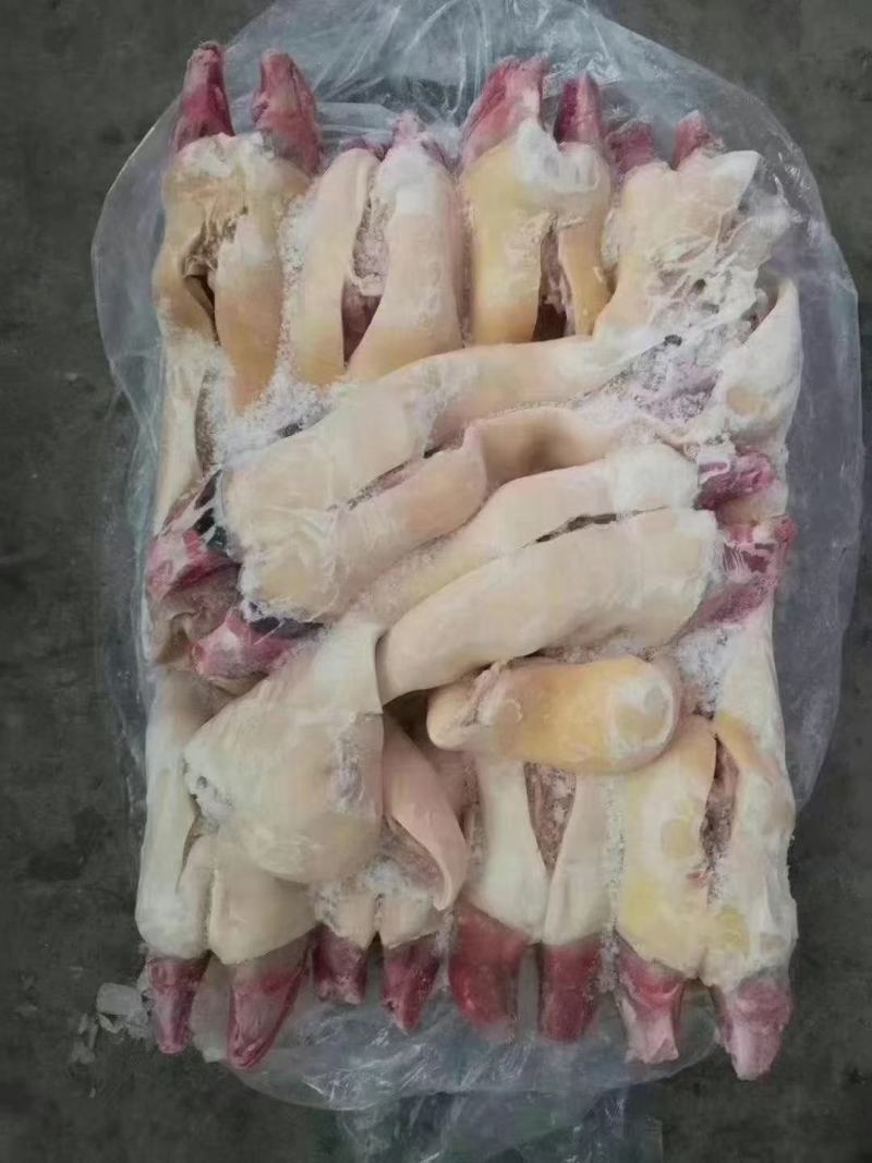 （全去骨牛蹄）半去骨牛蹄不去骨牛蹄常年加
