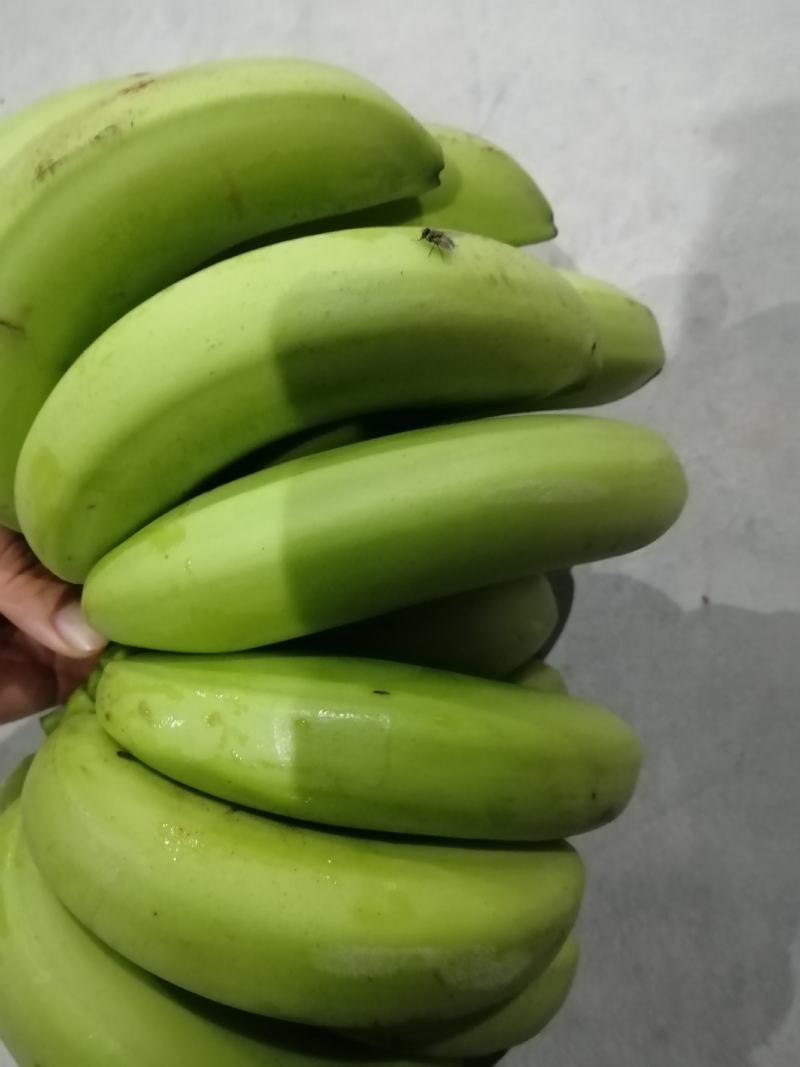 香蕉