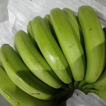 香蕉