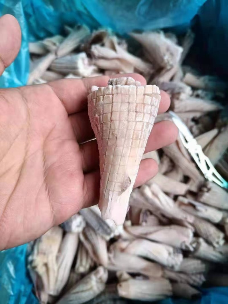 鱿鱼牛角花去头去内脏新鲜速冻鱿鱼花耳尖切鱿鱼尾花火锅食材