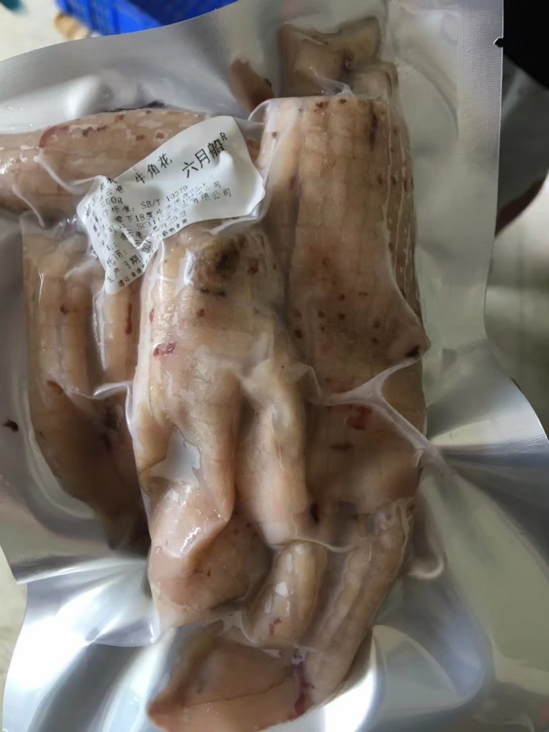 鱿鱼牛角花去头去内脏新鲜速冻鱿鱼花耳尖切鱿鱼尾花火锅食材