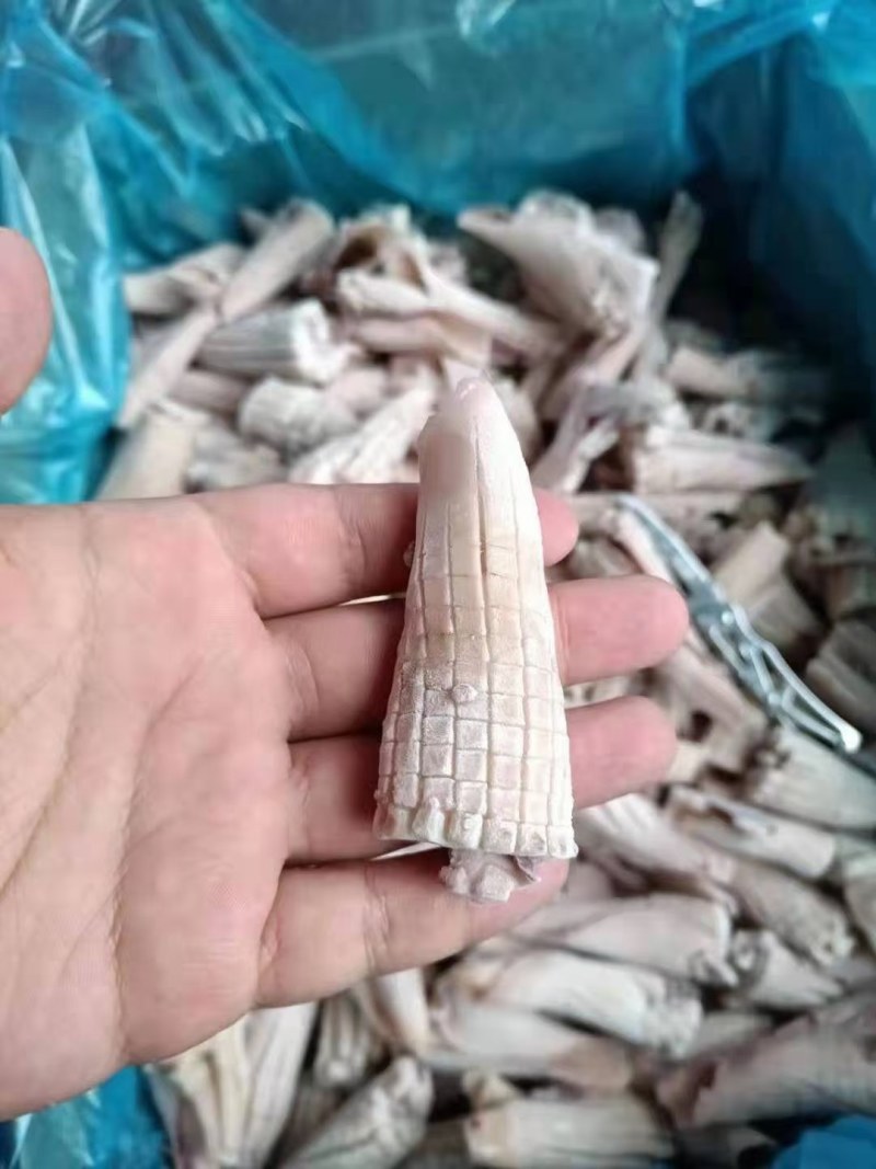 鱿鱼牛角花去头去内脏新鲜速冻鱿鱼花耳尖切鱿鱼尾花火锅食材